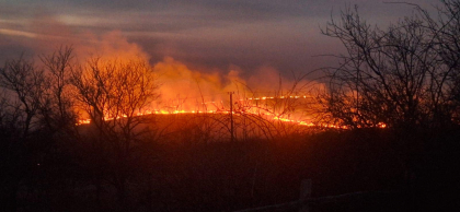 Incendiu de vegetație în Mehedinți. Pompierii s-au lupta ore întregi cu flăcările
