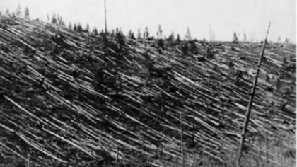 NASA, dezvăluiri privind misterul evenimentului de la Tunguska, Rusia: Cea mai mare explozie din istorie VIDEO FOTO