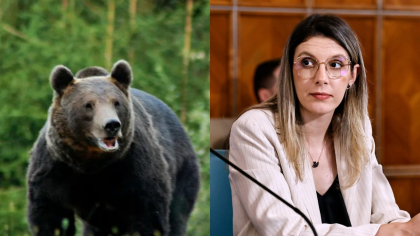 Cresc amenzile pentru oamenii care hrănesc urșii de pe marginea drumurilor. Anunțul de ultimă oră al ministrei Mediului, Diana Buzoianu