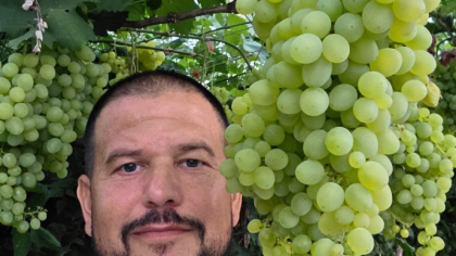 Un fruct banal generează un venit uriaș pentru un fermier român. Este foarte accesibil și nu este scump