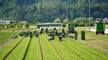 Șoferul care aducea acasă șase muncitori români le-a furat 15.000 de euro și i-a abandonat într-o benzinărie, în Austria