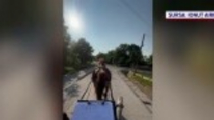 Un instructor auto a devenit viral pe rețelele sociale după ce a început să dea lecții de condus căruța