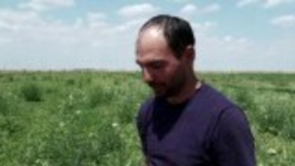 Soiuri exotice de pepeni prind rădăcini în România. Ce fructe au ajuns pe rafturile supermarketurilor