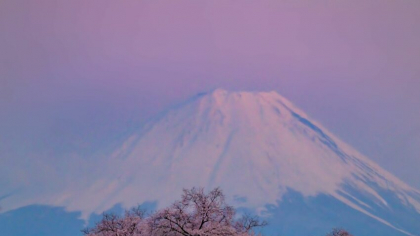Japonia a avut un număr record de vizitatori în aprilie