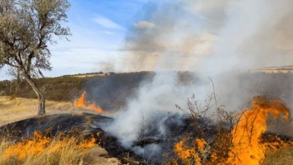 Tot mai multe incendii de vegetație, alimentate de vânt. Pagubele sunt semnificative