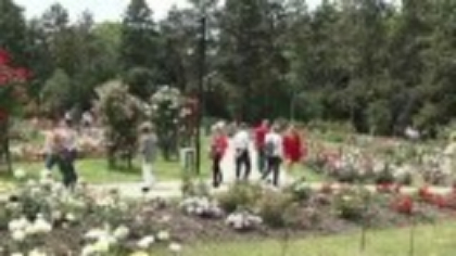 Gradina Botanică din Iași „fură” privirile românilor. Peste 800 de soiuri de trandafiri atrag mii de vizitatori