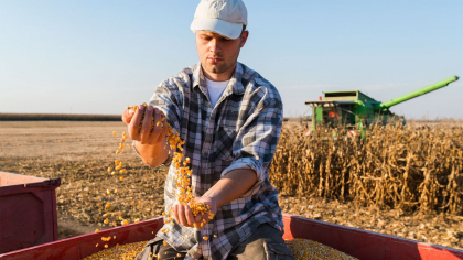 Un nou ajutor pentru agricultorii români. Se dau până la 50.000 de euro de la stat