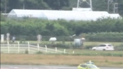 Aeroport închis în Japonia din cauza unui urs rătăcit pe o pistă