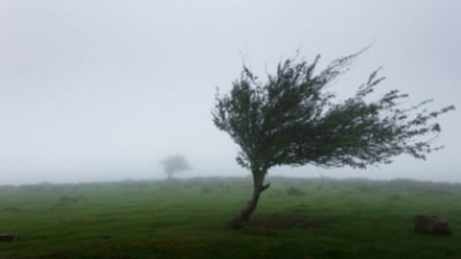 O nouă alertă meteo. Județele care vor fi sâmbătă sub Cod galben HARTĂ