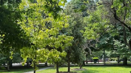 Totul Verde pregătește un super parc în zona Unirii