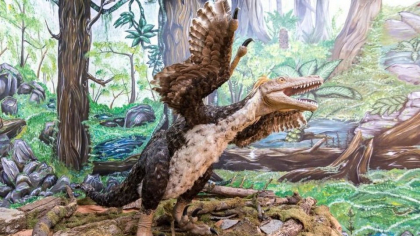 Lumea pierdută a dinozaurilor pitici din România. Descoperirile care i-au uimit pe savanți