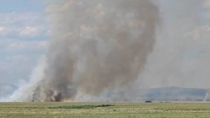 Arde miriștea lângă A7. Două echipaje de pompieri au fost trimise la Albești Paleologu