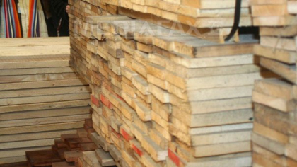 Dosar amplu de evaziune fiscală de 2 milioane de lei în domeniul forestier. 13 inculpați, plasați sub control judiciar
