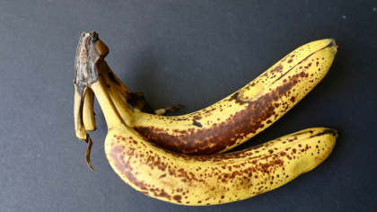 Bananele modificate genetic, soluția la risipa alimentară. Unde sunt disponibile fructele care nu se înnegresc?