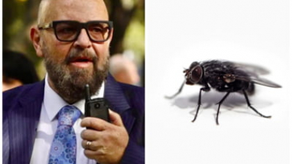 Dezastrul descoperit de Piedone pe litoralul românesc: mucegai și insecte printre alimentele din bucătărie