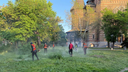 Hotărârea care a înfuriat timișorenii. Cetățenii trebuie să tundă iarba de pe domeniul public