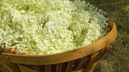 Ministrul japonez al Agriculturii a demisionat în urma gafei privind orezul