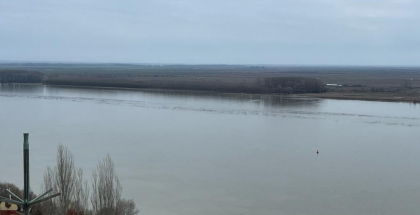 Înot extrem pentru o cauză umanitară. Un slovac, deținător 5 recorduri Guinness, se aruncă în Dunăre