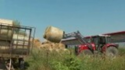 Rabla pentru tractoare, blocată de propriul succes: 3,3 milioane de accesări în 7 doar minute