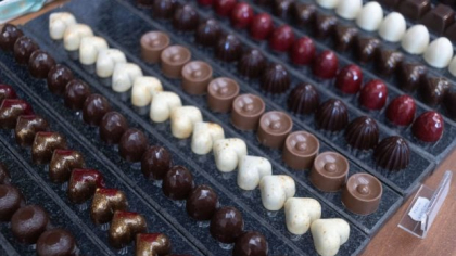 Microbii dau gust delicios ciocolatei: ciuperci similare celor din drojdie descompun zaharurile din boabele de cacao