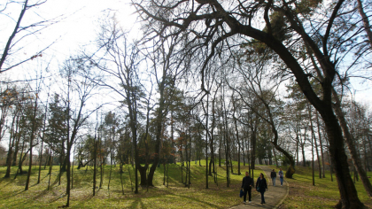 Prognoza meteo pentru următoarele patru săptămâni: Temperaturi ridicate în aproape toată ţara la începutul lunii iunie