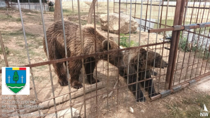 Grădină Zoologică improvizată, descoperită de Garda de Mediu în Dâmbovița
