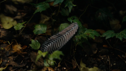 FOTO Dispozitivul de mici dimensiuni care ar putea stopa incendiile devastatoare: Invenția care poate schimba cursul dezastrelor naturale