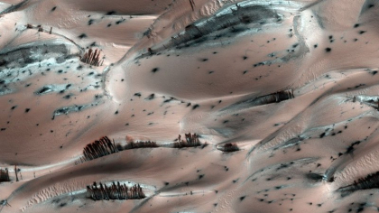 NASA a publicat o fotografie cu o scenă bizară cu „copacii” de pe Marte. Care este explicația fenomenului