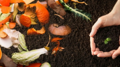Soluții inteligente pentru afaceri: cum valorifici resturile alimentare și reduci risipa
