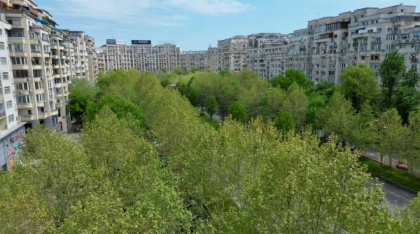 Orașele care plantează viitorul: cum ne salvează arborii din mijlocul asfaltului