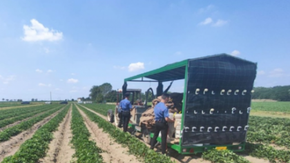 Sfârșit înfiorător pentru o româncă din diaspora: A murit zdrobită de tractor, într-o fermă din Italia