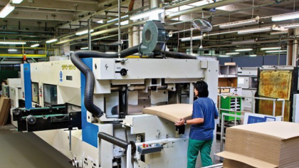 Afacerile producătorului de ambalaje din carton Dunapack Rambox, controlat de austriecii de la Prinzhorn, au crescut cu 3,3% în 2024, până la 296 milioane de lei