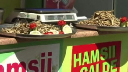 Cât a ajuns să coste 100g de hamsii pe litoralul românesc. Pățania unui român venit din străinătate să petreacă vacanța la Mamaia: "La preț de aur!" VIDEO