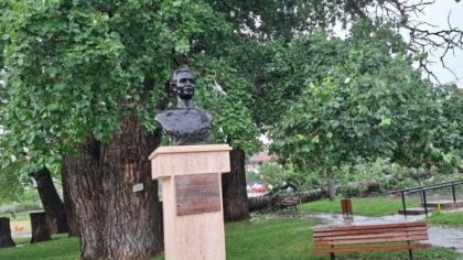 Plopul din Iași, despre care a scris Mihai Eminescu și care a fost doborât de o furtună, va fi transformat în operă de artă