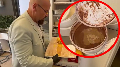 Ce a putut găsi Piedone într-un restaurant din Mamaia, în timpul controlului: „Ce este aici?”