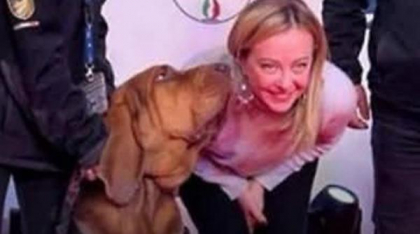 Șoc și indignare în Italia după uciderea cu cruzime a lui Bruno, un câine-erou care salvase 9 vieţi. Meloni: „Un act inacceptabil”