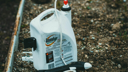 CE: România trebuie să respecte normele privind insecticidele periculoase
