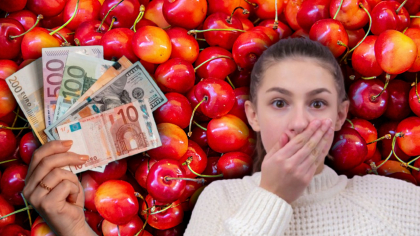 Au apărut primele cireșe în piețele din România. Unii nu-și permit nici să poftească la cât de scumpe sunt
