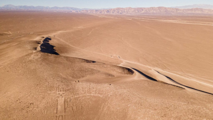 Cum se cultivă salata și lămâile în cel mai arid loc din lume?