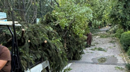 Grădina Zoologică Bucureşti se închide temporar, după furtuna de joi: „A suferit mai multe pagube”. Când va fi redeschisă
