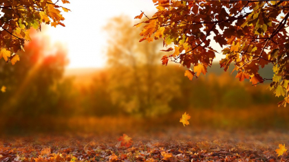 Vreme frumoasă în weekend, cu temperaturi peste normalul perioadei