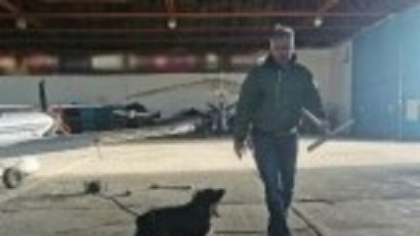 Pilotul care a murit în accidentul aviatic din Orăștie avea 25.000 de ore de zbor la activ. Ce i-a spus ultima oară soției