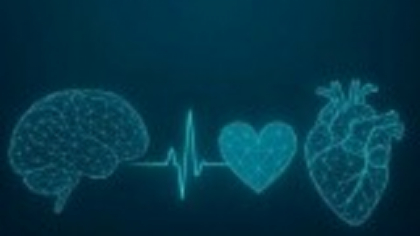 România are în premieră o Strategie Națională pentru Combaterea Bolilor Cardiovasculare și Cerebrovasculare