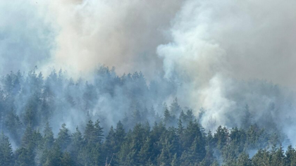 Incendiu de vegetație într-o zonă greu accesibilă din Munții Rodnei