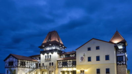 Consiliul Județean Timiș vrea să cumpere un hotel de patru stele în care să mute o clinică de psihiatrie