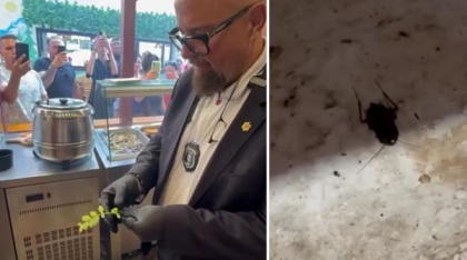Piedone a închis 9 restaurante de pe litoral, după ce a găsit gândaci, mucegai şi alimente expirate: "Aveţi salată de salcâm în meniu?"