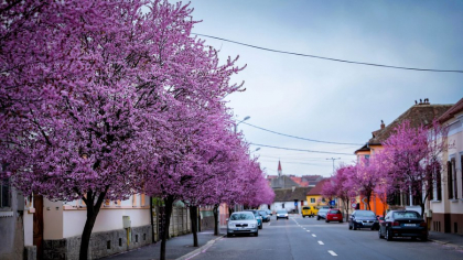 Peste București, Cluj-Napoca sau Brașov, un oraș din Ardeal oferă cea mai bună viață din România