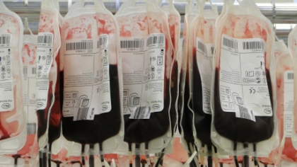 Ne luăm adio pentru totdeauna de la donatori? Cercetătorii sunt cu un pas mai aproape de crearea sângelui artificial. 'Lumea medicală ar lua-o de la zero'