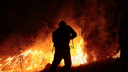 România sub flăcări. Incendii în lanţ pe fondul caniculei: peste 350 de hectare arse în mai multe judeţe
