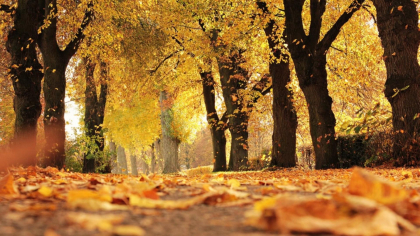 Weekend cu vreme de vară târzie: soare, temperaturi de până la 32 de grade și doar câteva zone cu ceață